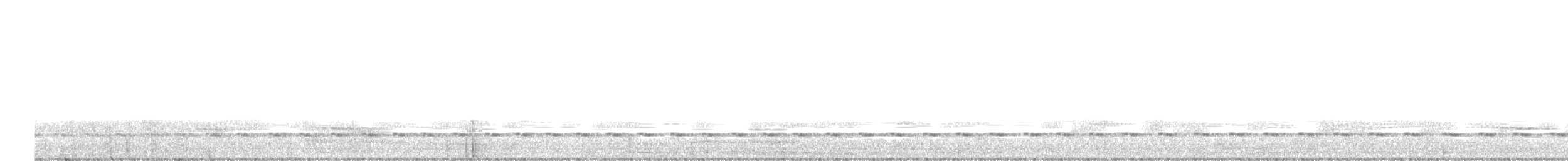 Black-crowned Antpitta - ML646558235