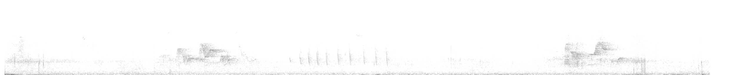 Slaty Vireo - ML646558418