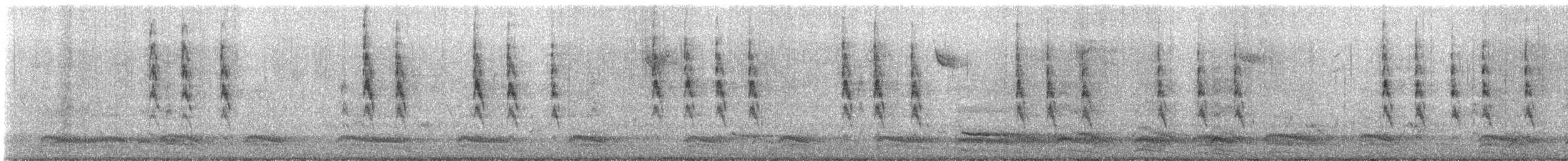 Winter Wren - ML646558617