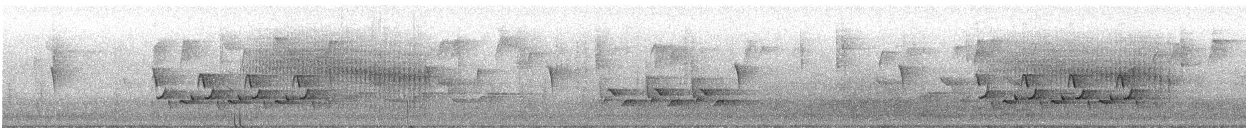 Carolina Wren - ML646558707