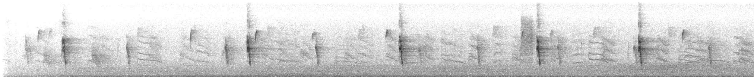 Northern Mockingbird - ML646558717