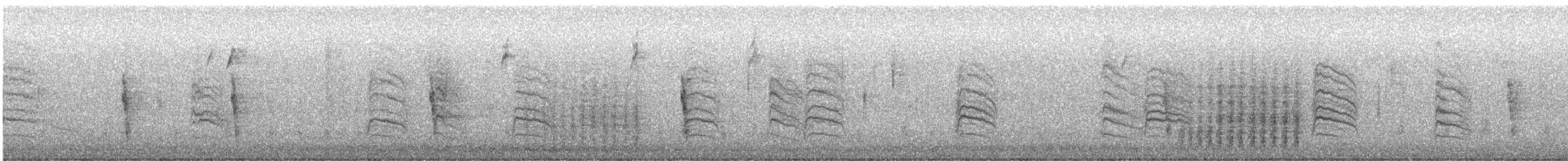 Northern House Wren - ML646558722