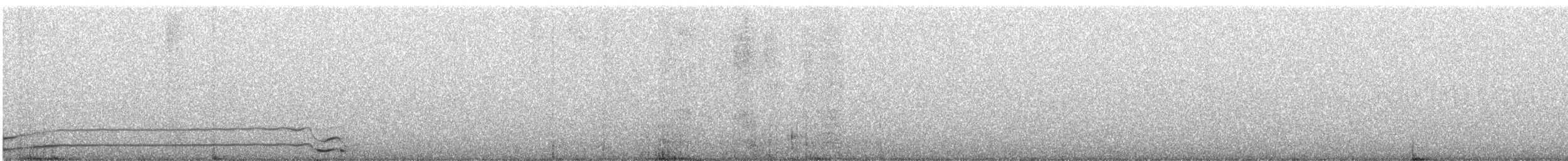 Coyote - ML646558820