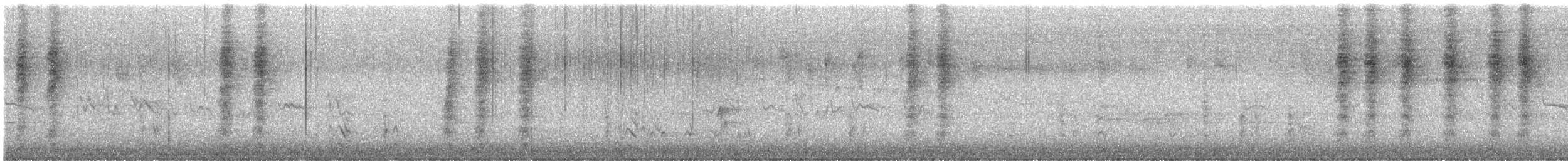 Eastern Whipbird - ML646558870