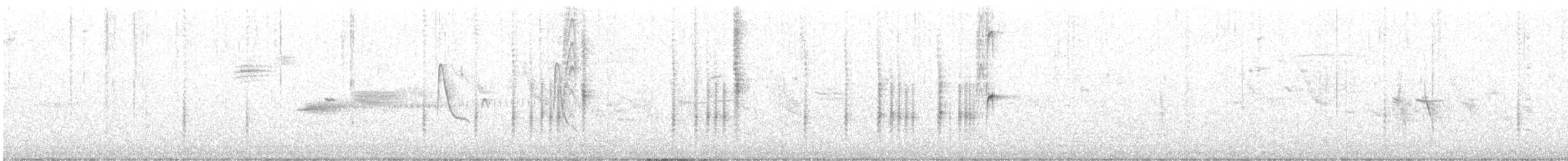 Dinelli's Doradito - ML646559195