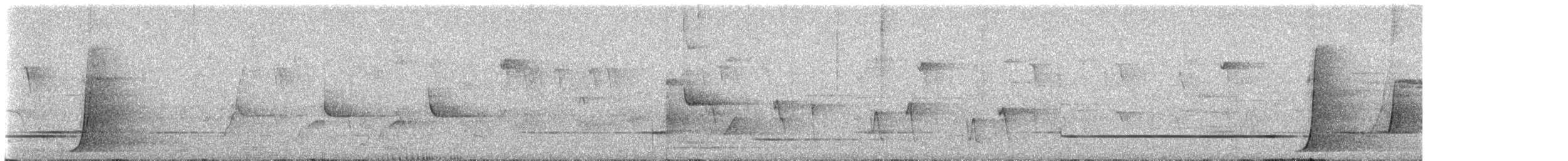 Eastern Whipbird - ML646559198