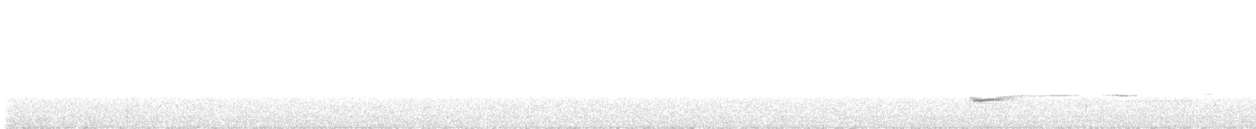 Northern Schiffornis - ML646559203