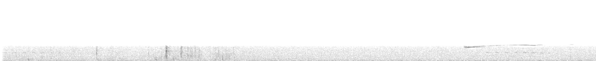 Northern Schiffornis - ML646559212