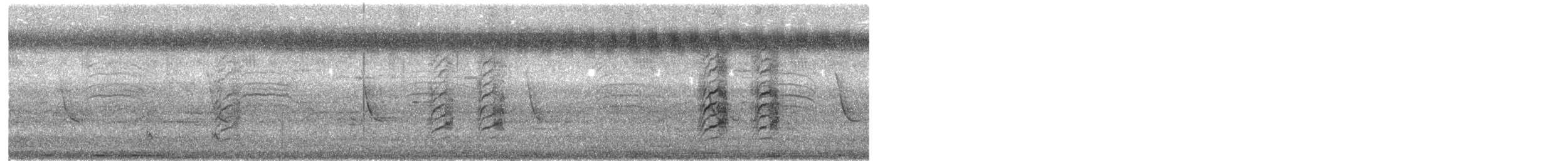 skjeggparakitt - ML646559250