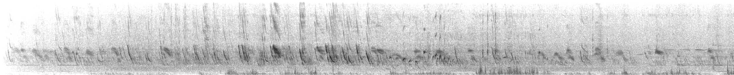 Purple Martin (subis/arboricola) - ML646561318