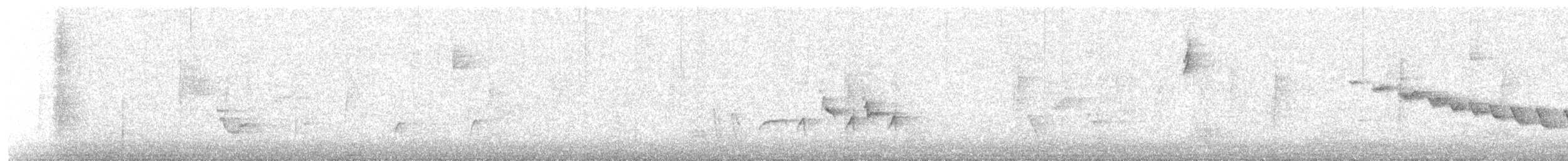 Olive Warbler - ML646561947