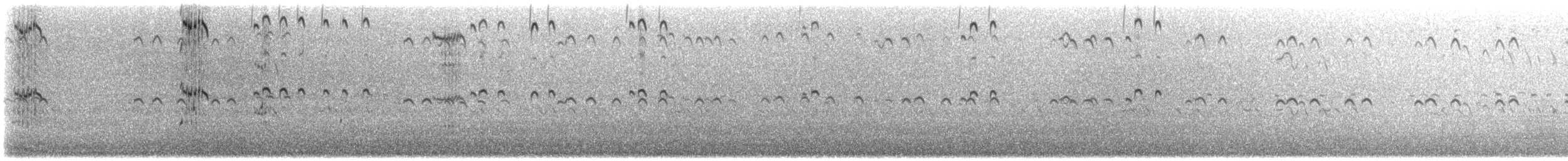 Royal Tern - ML646562018