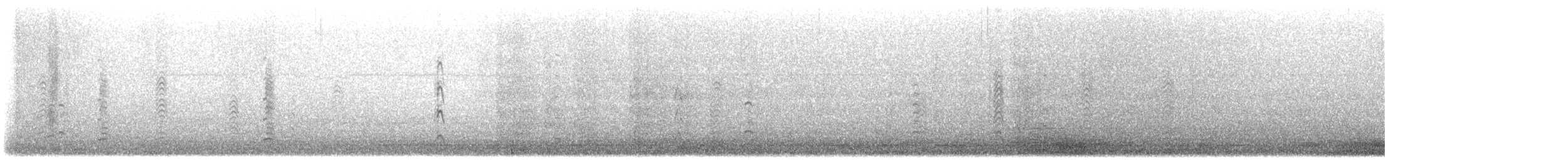 Short-billed Gull - ML646562056