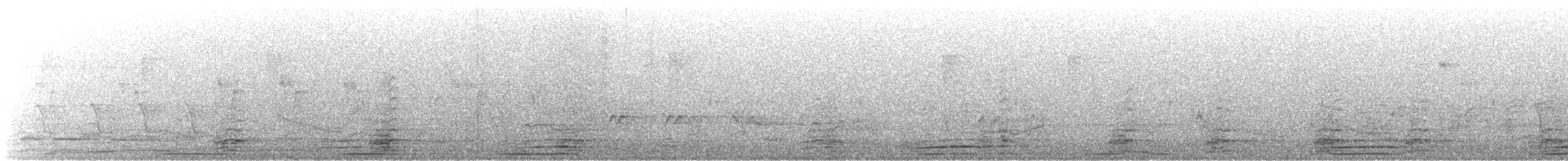 Antzara sp. (etxekoa) - ML646562078