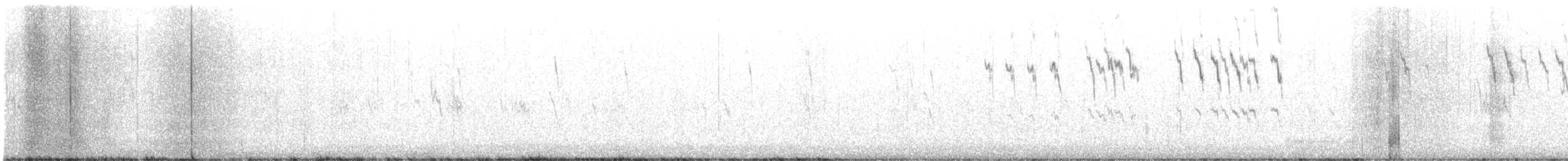 Spioncello del Pacifico - ML646562372