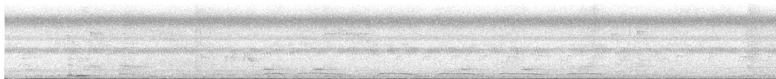 Spotted Dove - ML646562981