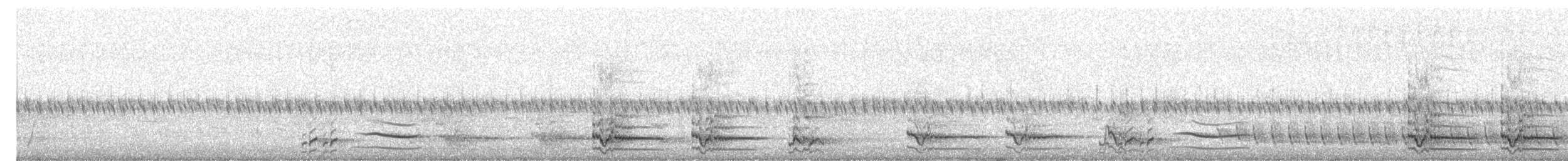 Pied Currawong - ML646563214