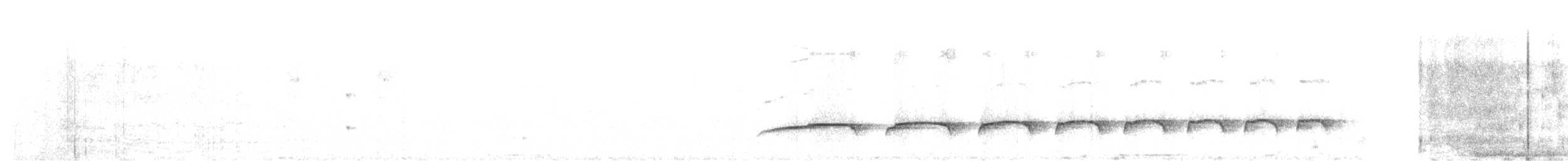 Tufted Antshrike - ML646563454