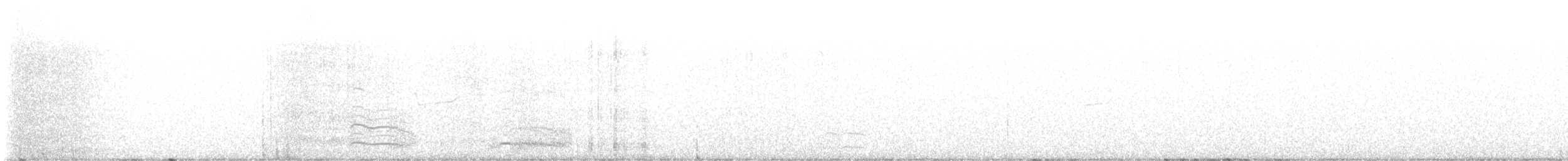 クロワカモメ - ML646563771