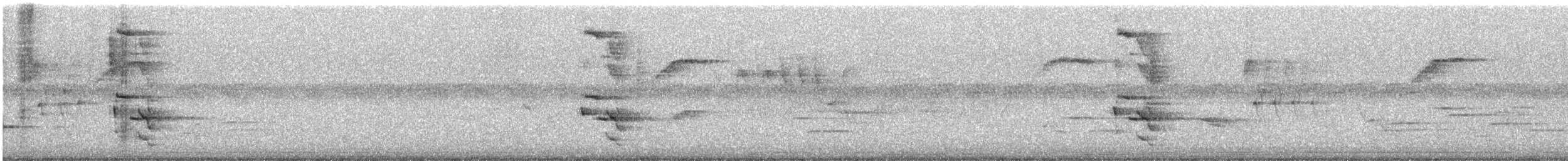 datel zlatý - ML646564450