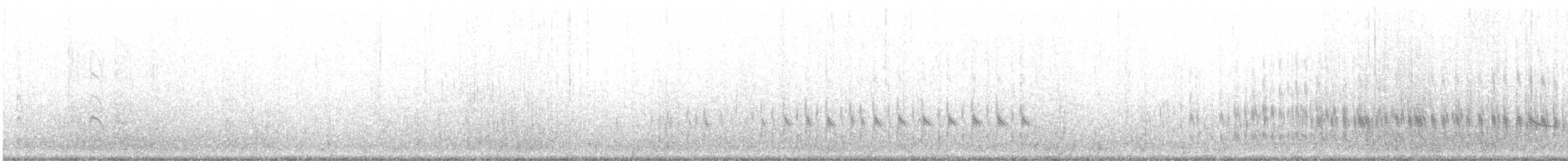 Ruddy Turnstone - ML646564799