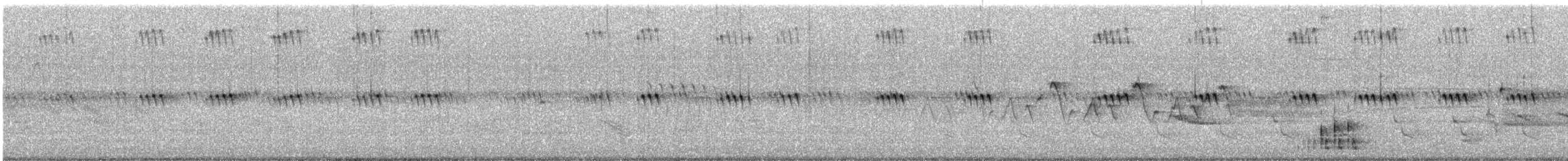 kukačka černozobá - ML646565111