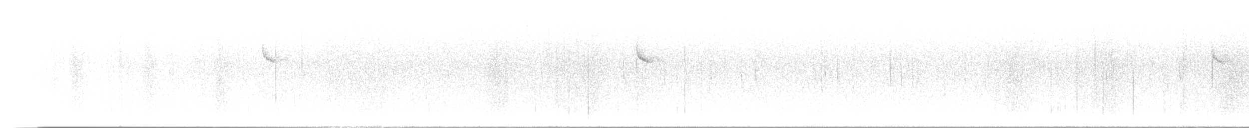 amerikatrekryper - ML646565337