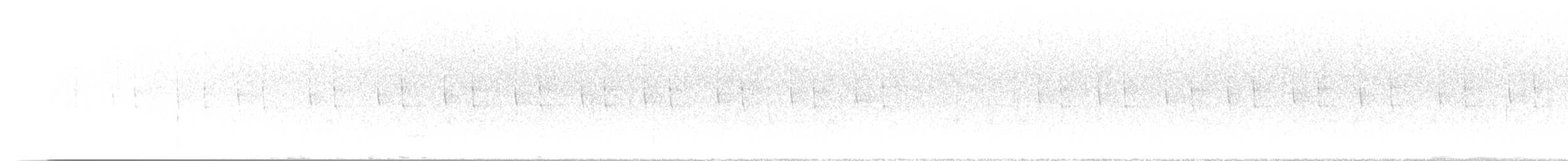 hvitørekolibri - ML646565342