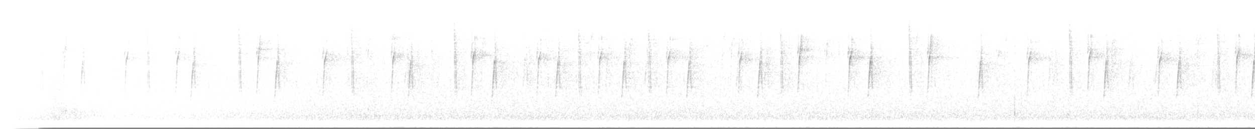 talassinkolibri - ML646565424