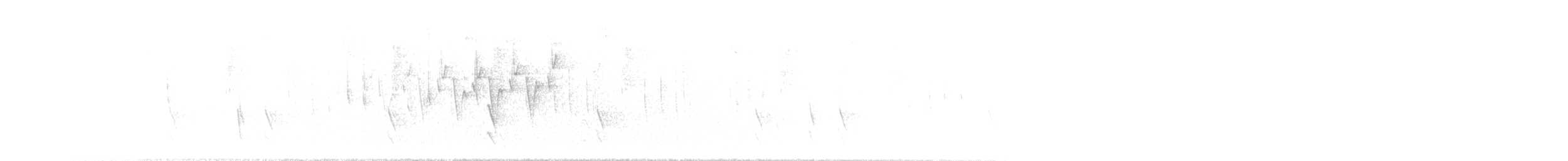 skiferhvitstjert - ML646565437