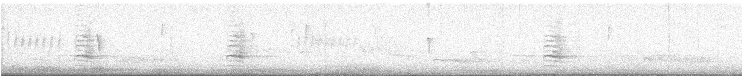 gråfibi - ML646565586