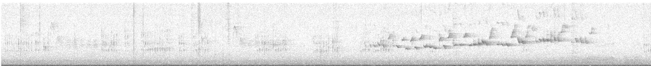 Winter Wren - ML646565589