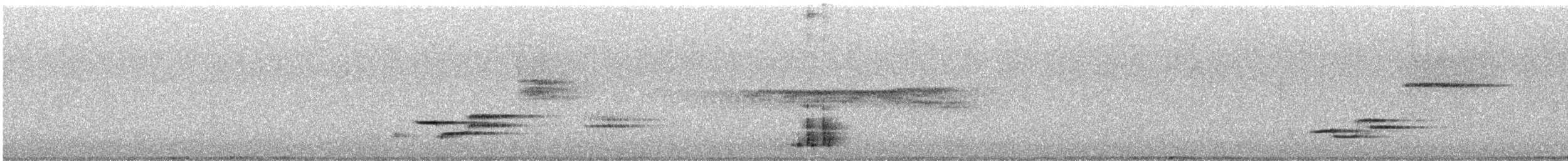 קוקיה שחורת-מקור - ML646565637