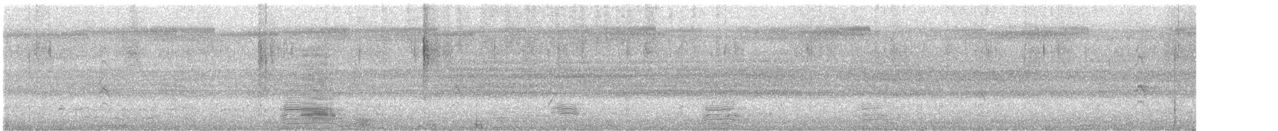 Australian Ibis - ML646565658