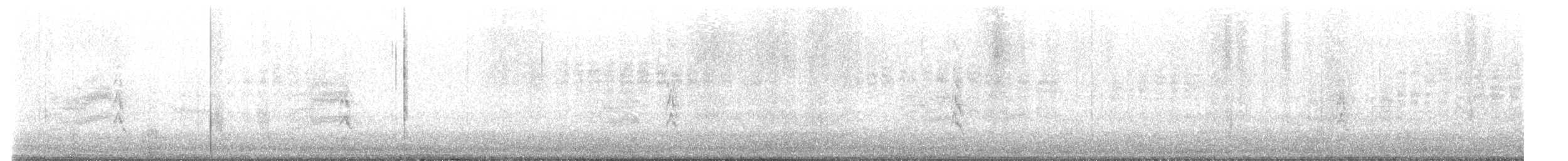 Canyon Towhee - ML646565690