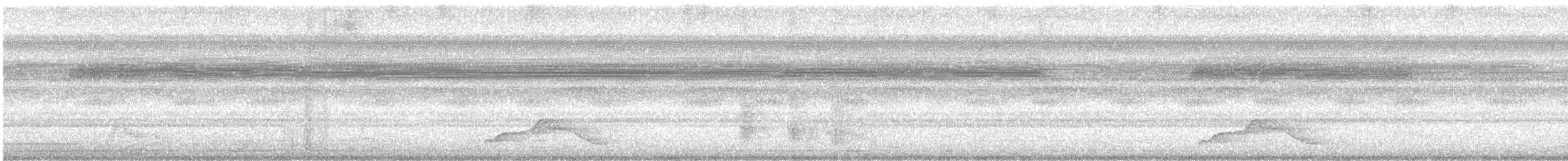 lelek šedočelý - ML646565718