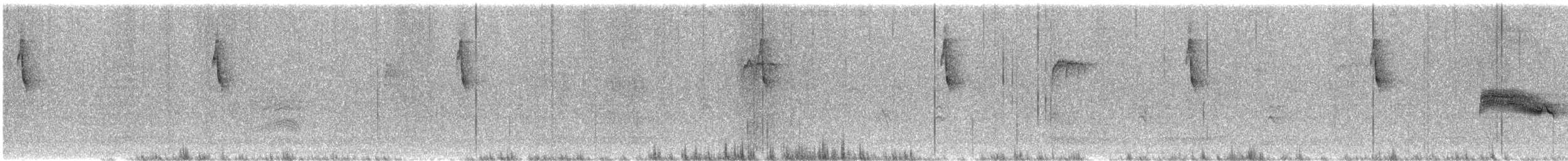 Batılı Tropikal Pivi - ML646565774