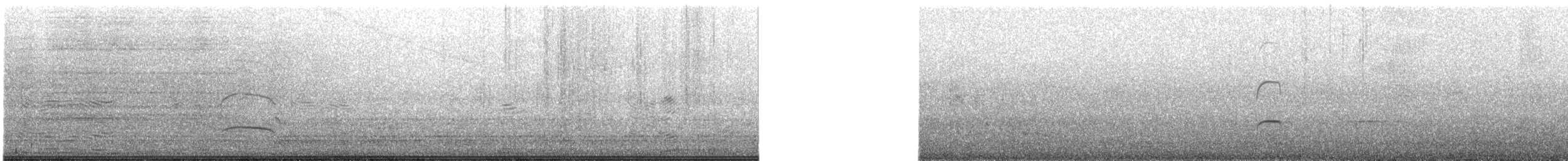 Blackish Oystercatcher - ML646566451