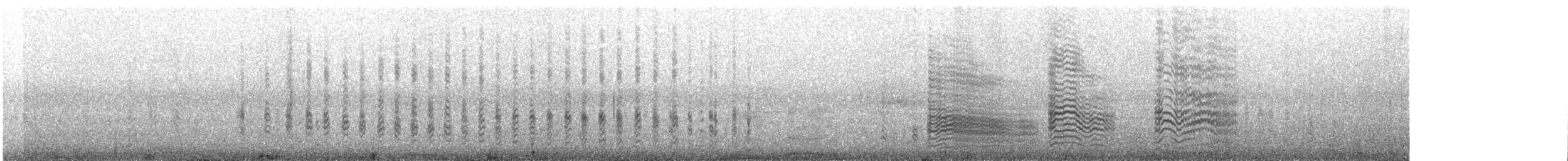 Inca Tern - ML646566469