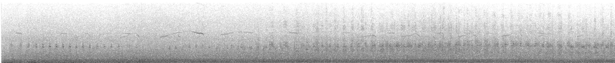 Inca Tern - ML646566471