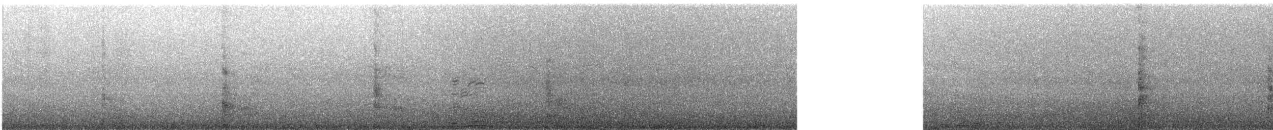 South American Sea Lion - ML646566489