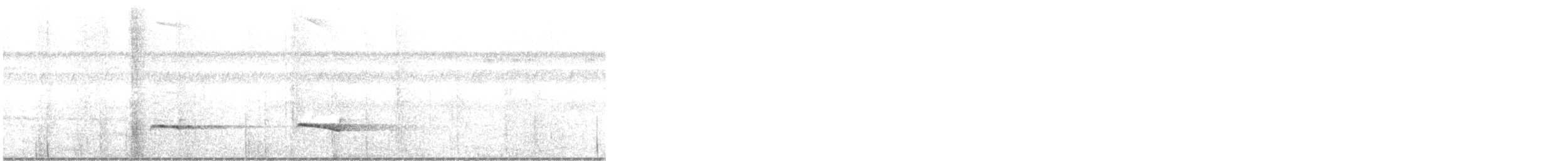 Chestnut-backed Antbird - ML646566598