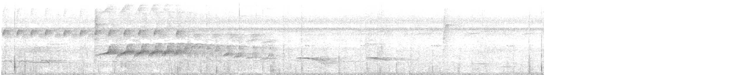 Bicolored Antbird - ML646566626