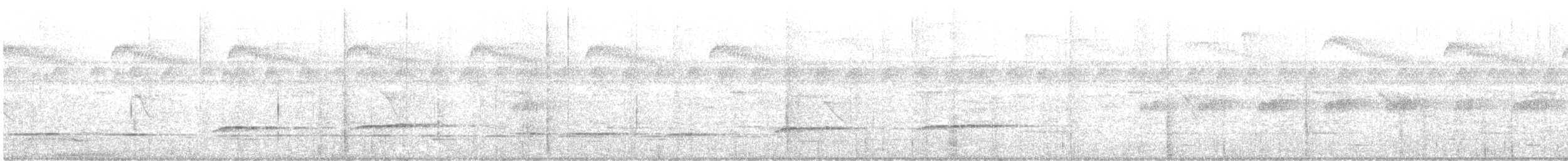 Black-faced Antthrush - ML646566746