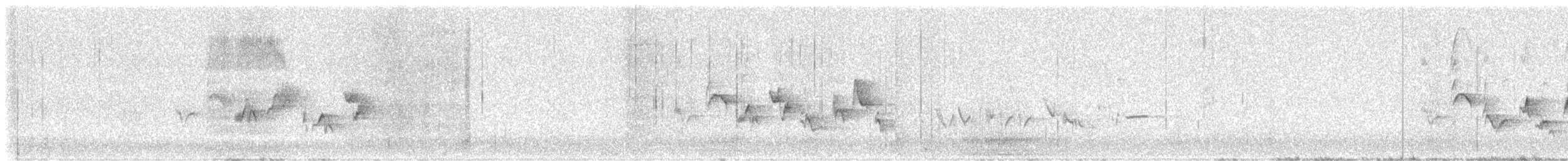 Western Warbling Vireo - ML646567132