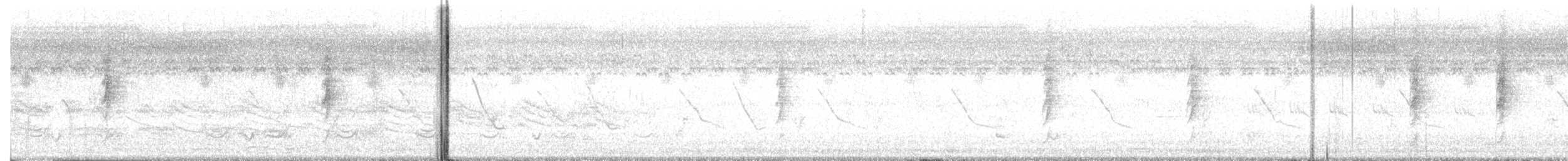 Белогорлая веерохвостка - ML646567143