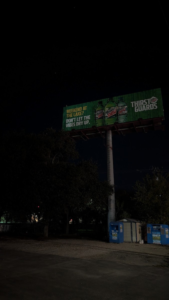 Great Horned Owl - ML646567702