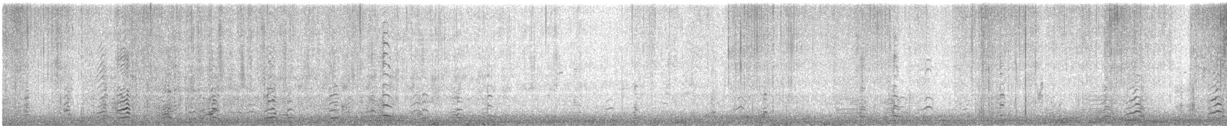 berneška malá (ssp. leucopareia) - ML646567787