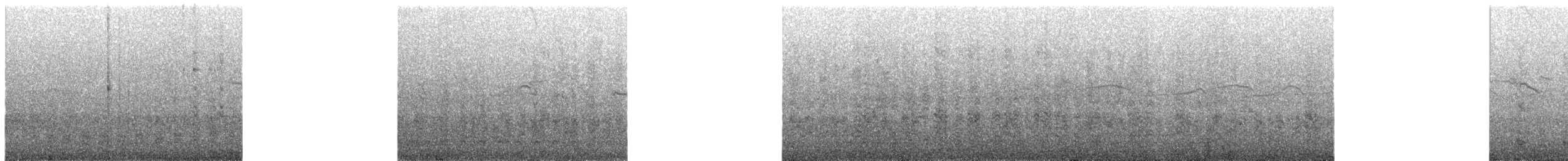 Peruvian Booby - ML646568563