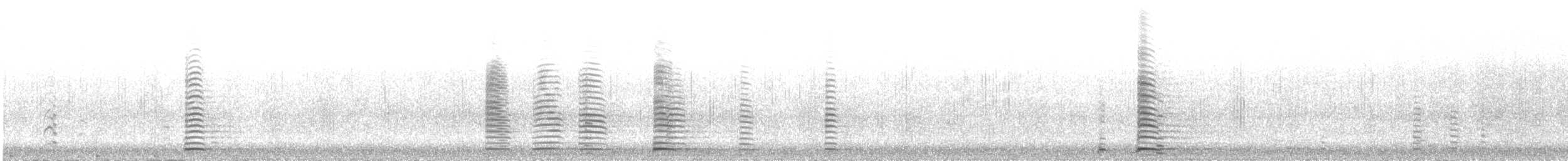 Trompeterschwan - ML646568745